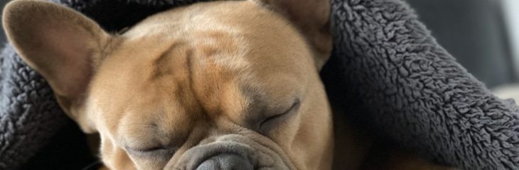 How to Sleep Better at Night: 10 Tips That Actually Work
