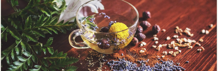 Holistic Therapy 101