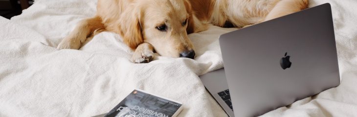How People With Cancer Benefit From Online Therapy?