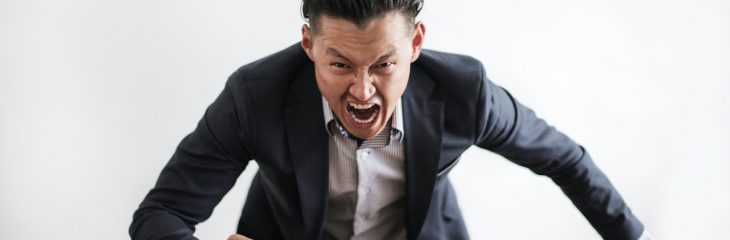 Adult and Workplace Bullying